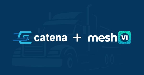 meshVI and Catena Missing Asset Detection